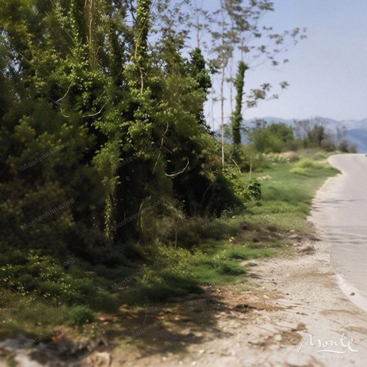 Terreno a Kotor, Montenegro, 4 347 m2 - foto 6