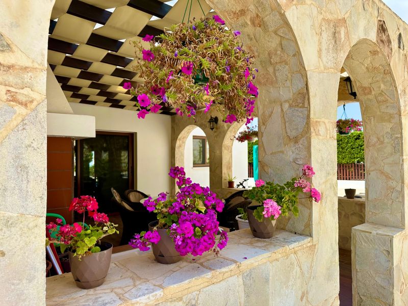 Villa a Paphos, Cipro, 350 m² - foto 13