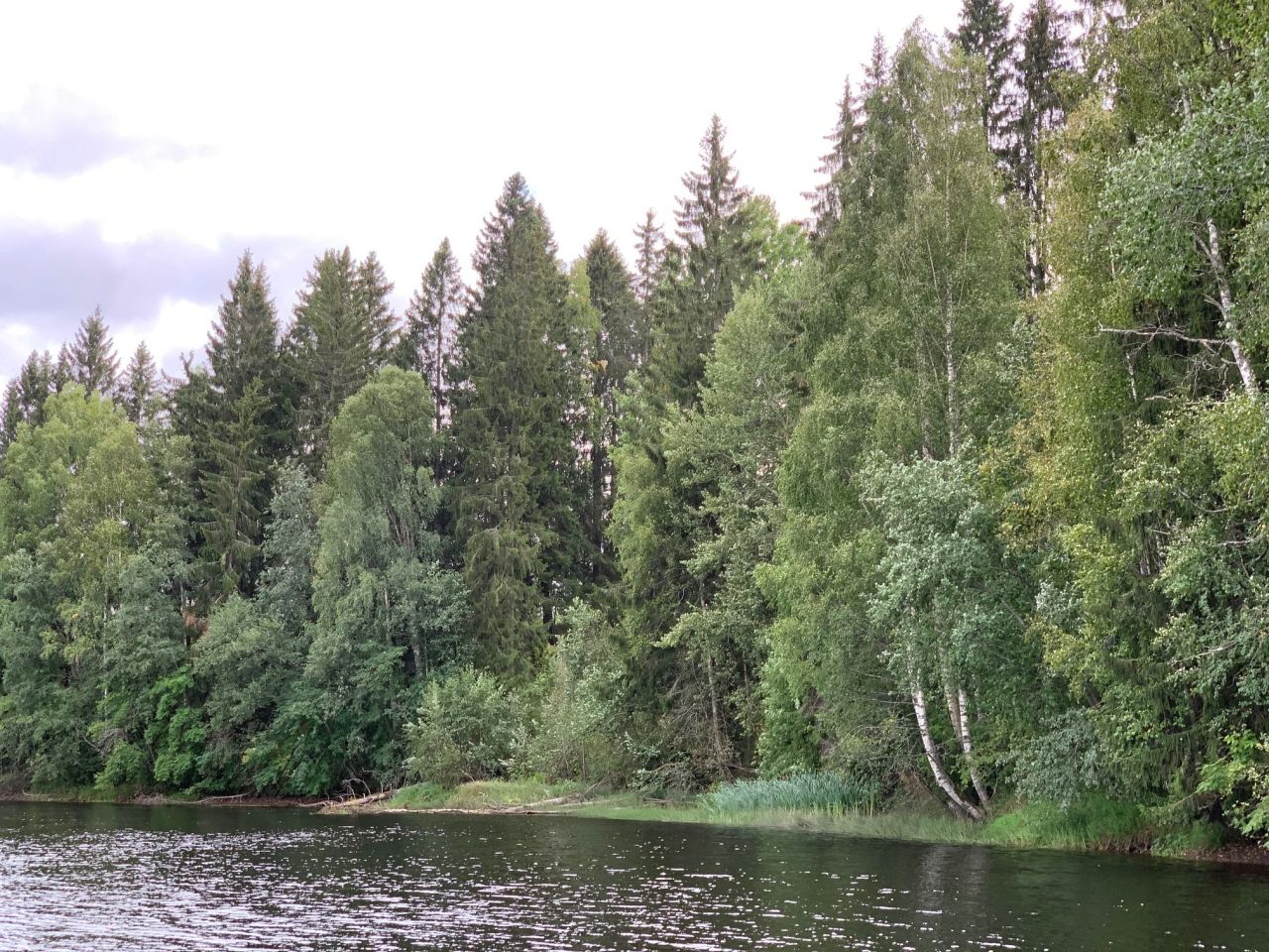 Terrain à Tohmajarvi, Finlande, 3 120 m² - image 9