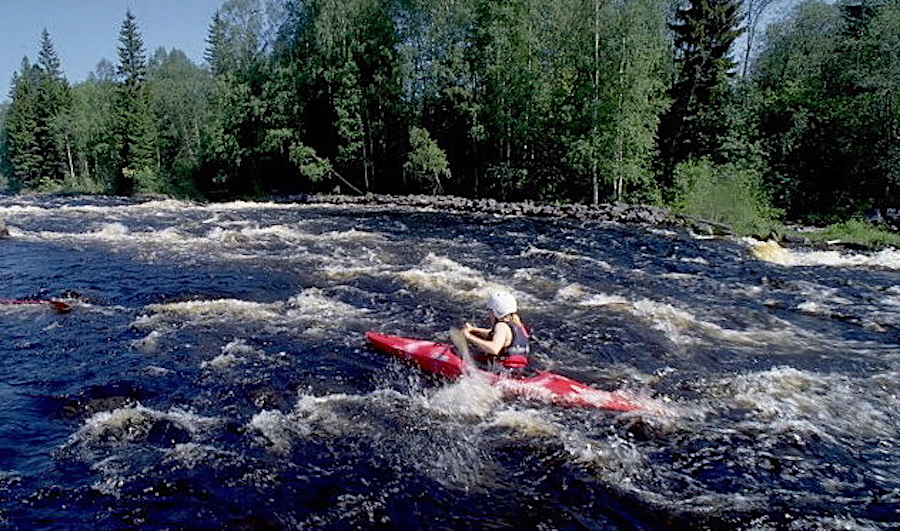 Terrain à Tohmajarvi, Finlande, 3 120 m² - image 6