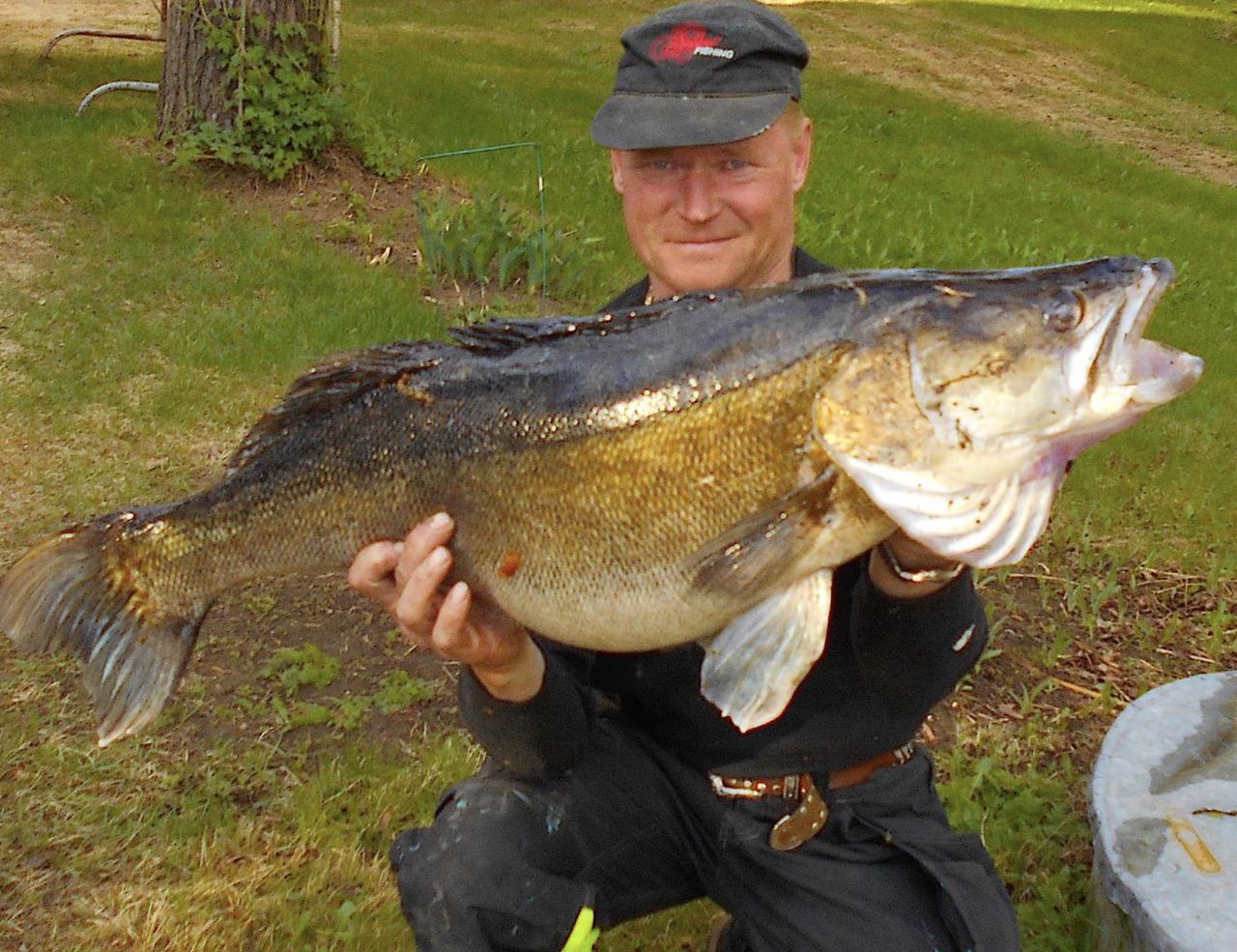 Terrain à Tohmajarvi, Finlande, 3 120 m² - image 12