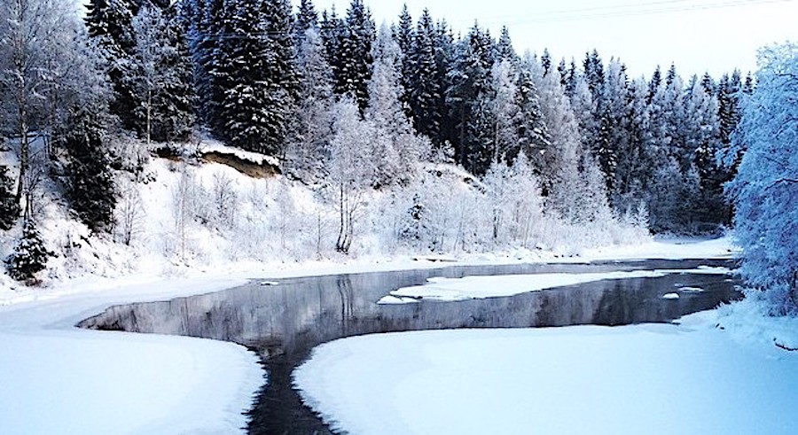 Terrain à Tohmajarvi, Finlande, 3 120 m² - image 17