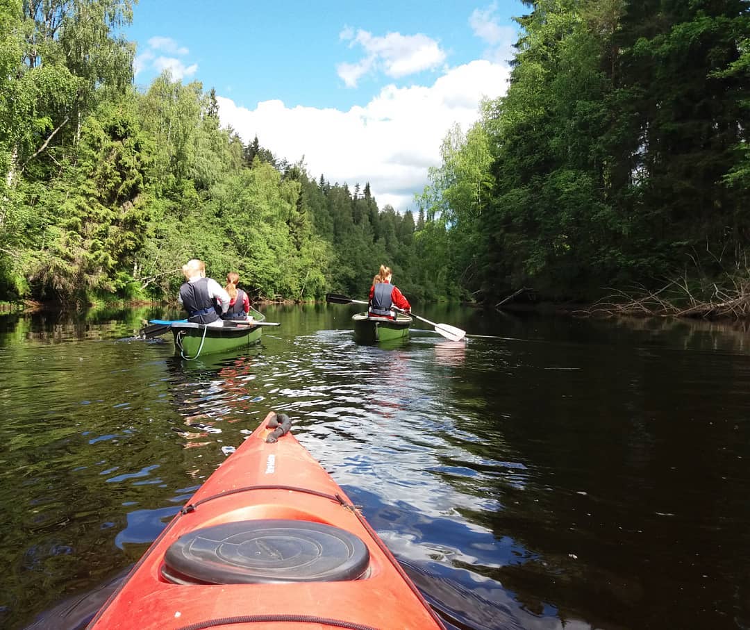 Terrain à Tohmajarvi, Finlande, 3 120 m² - image 5