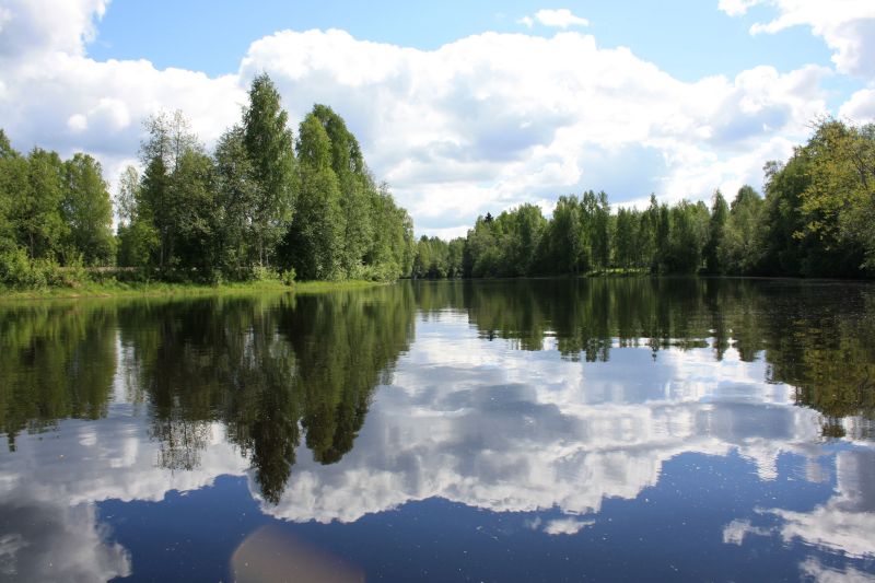 Terrain à Tohmajarvi, Finlande, 3 120 m² - image 16