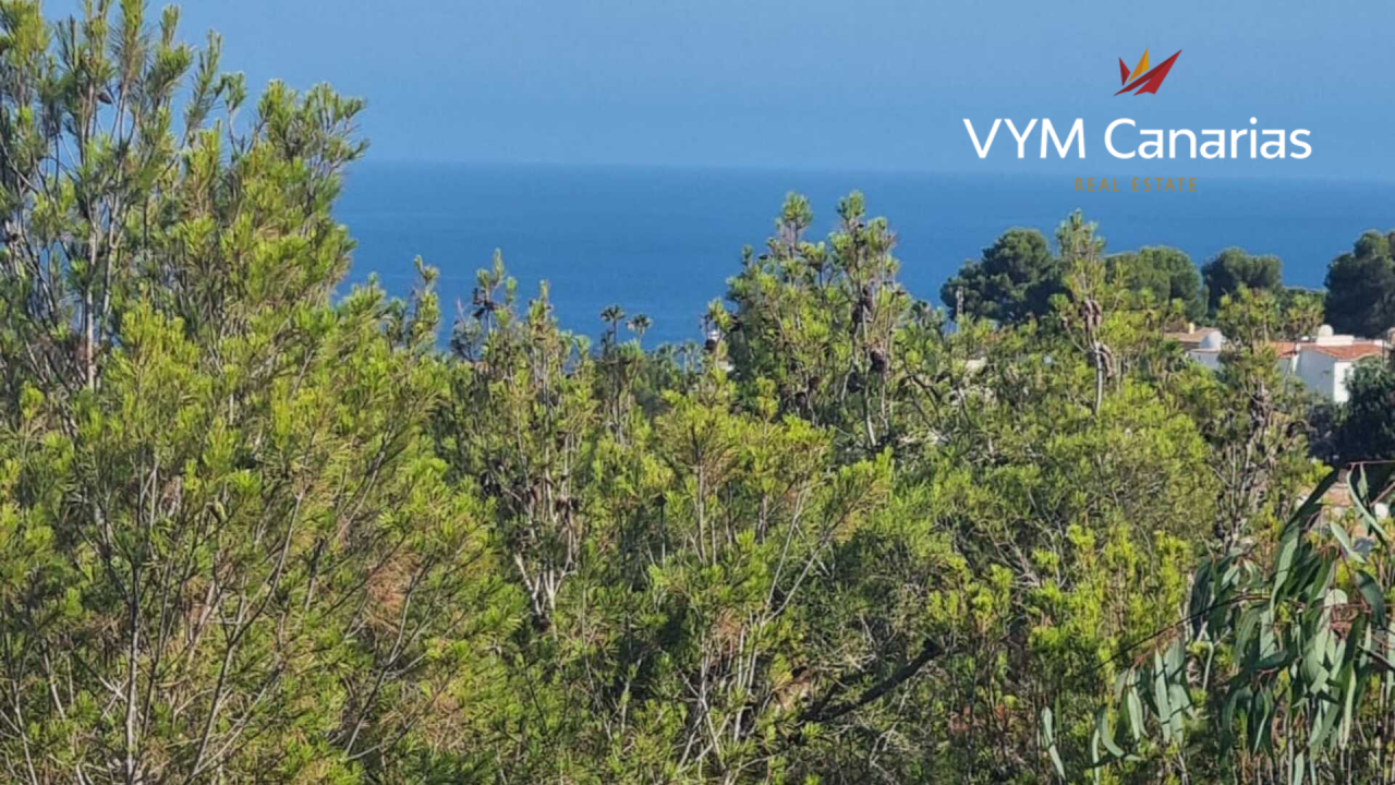 Villa in Costa Blanca, Spanien, 327 m² - Foto 4