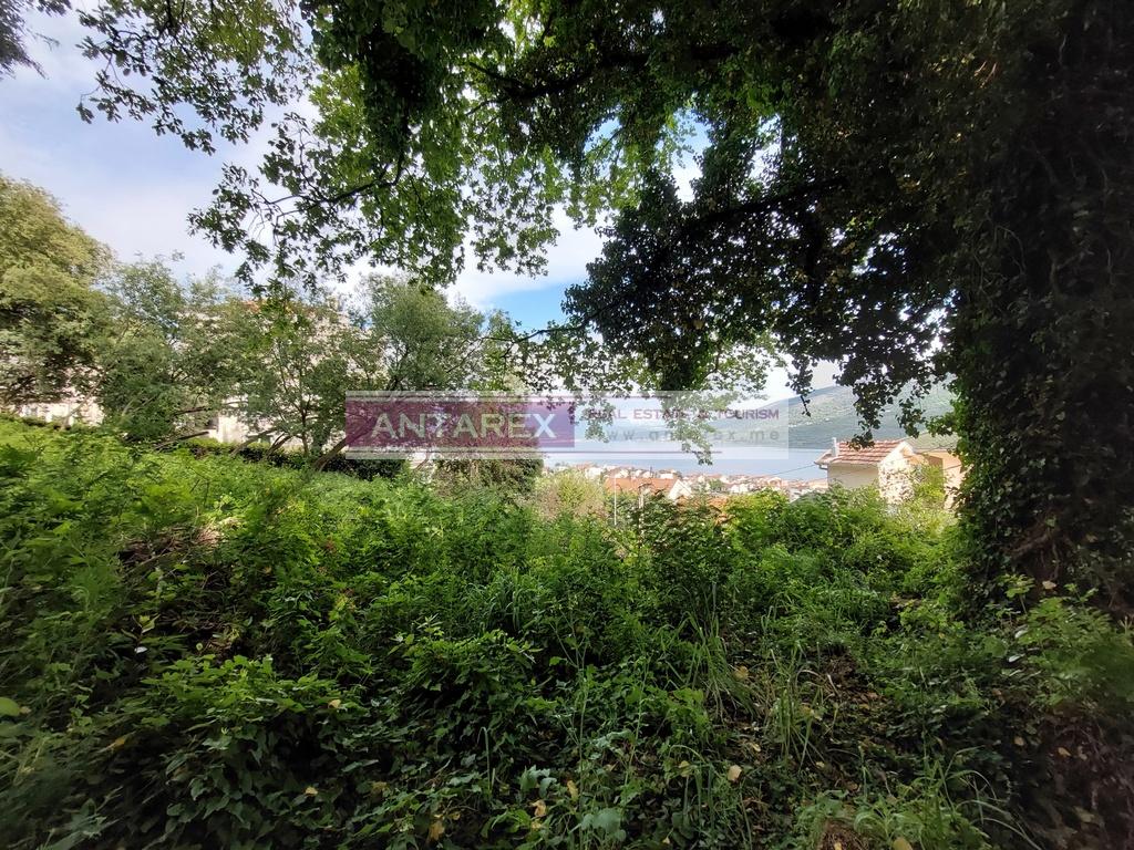 Land in Denovici, Montenegro, 1 794 m² - picture 4