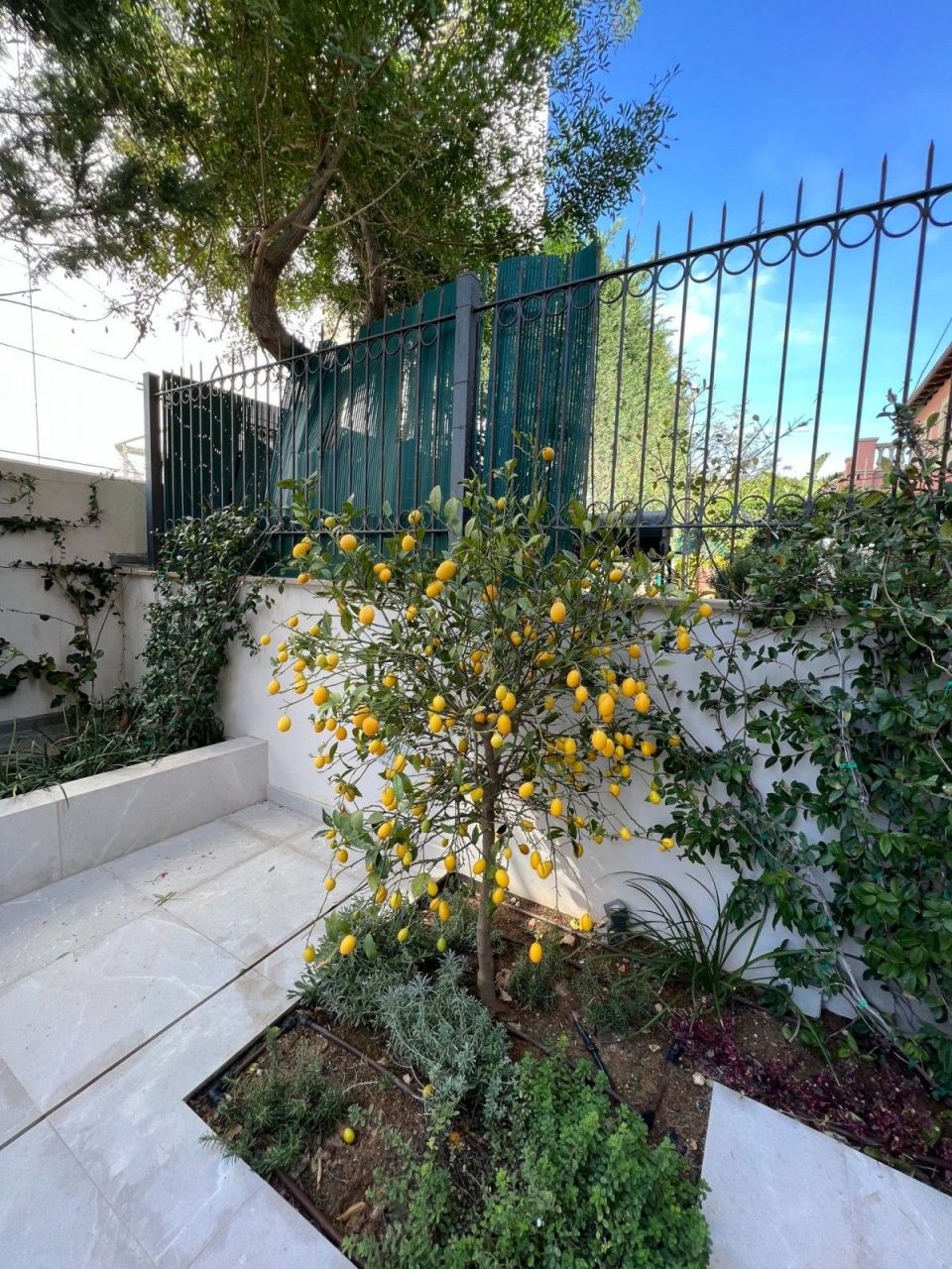 Appartamenti a Limassol, Cipro, 102 m² - foto 13