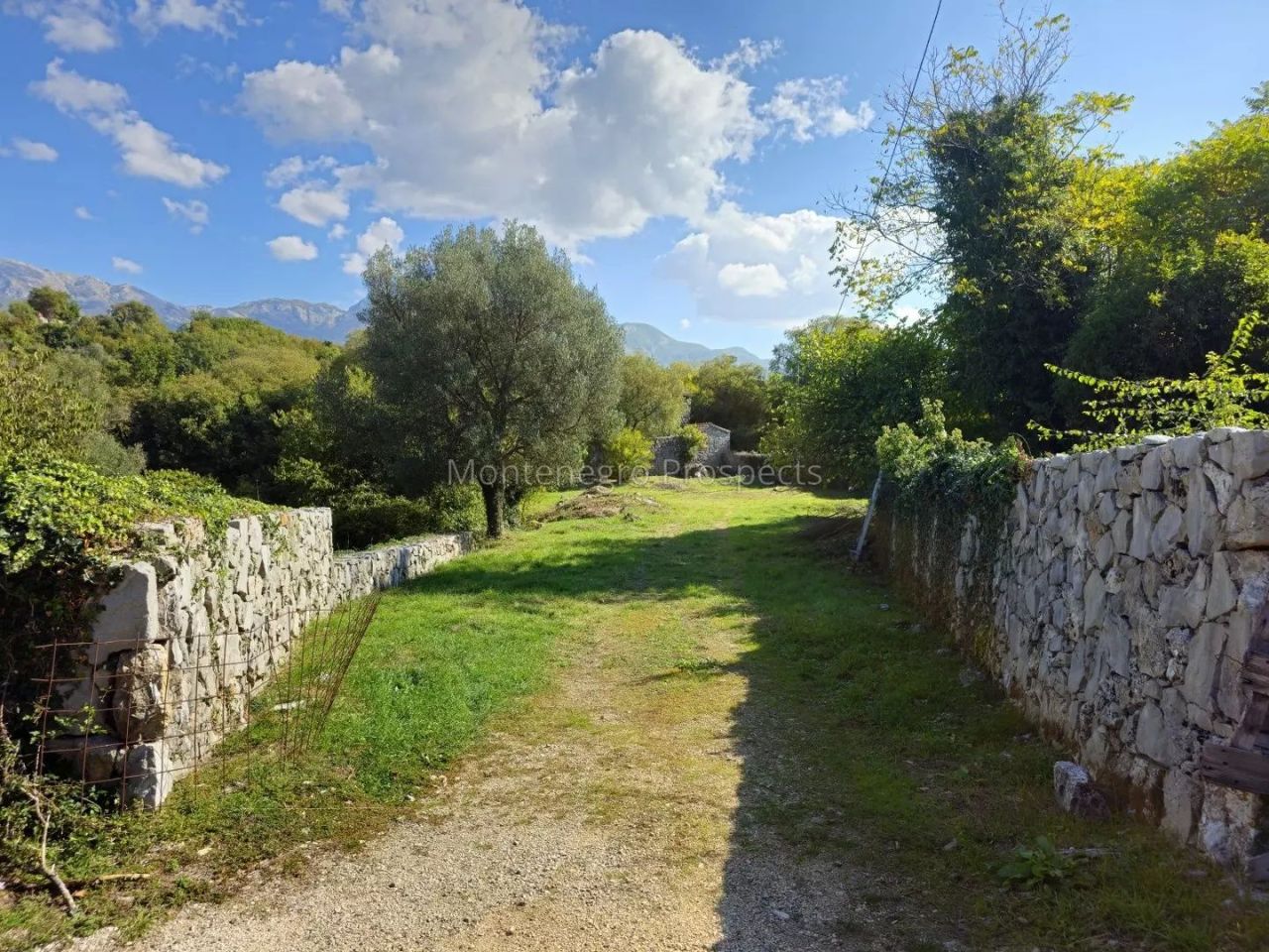 Manor in Kotor, Montenegro, 177 m² - picture 13