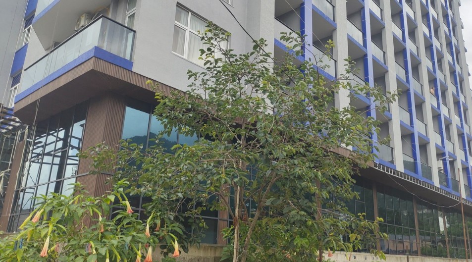 Appartement à Batoumi, Géorgie, 39.5 m² - image 6