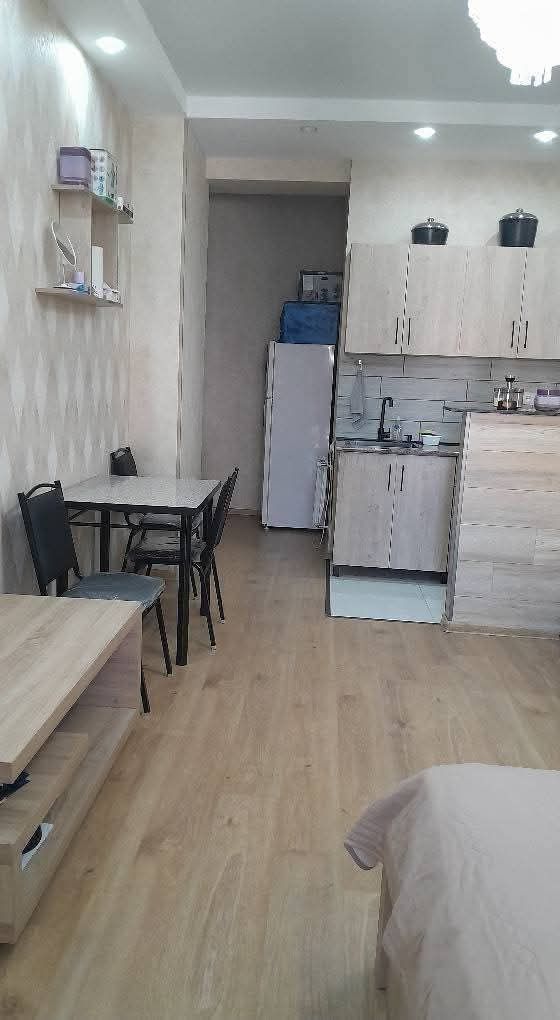 Flat in Tbilisi, Georgia, 38 m² - picture 2