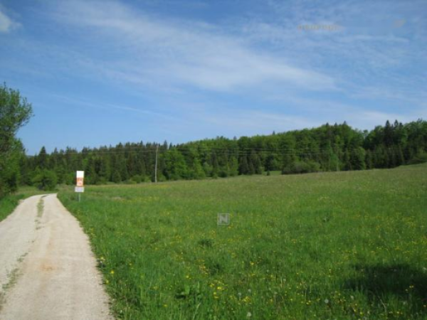 Azienda agricola a Cerknica, Slovenia, 214 m2 - foto 4