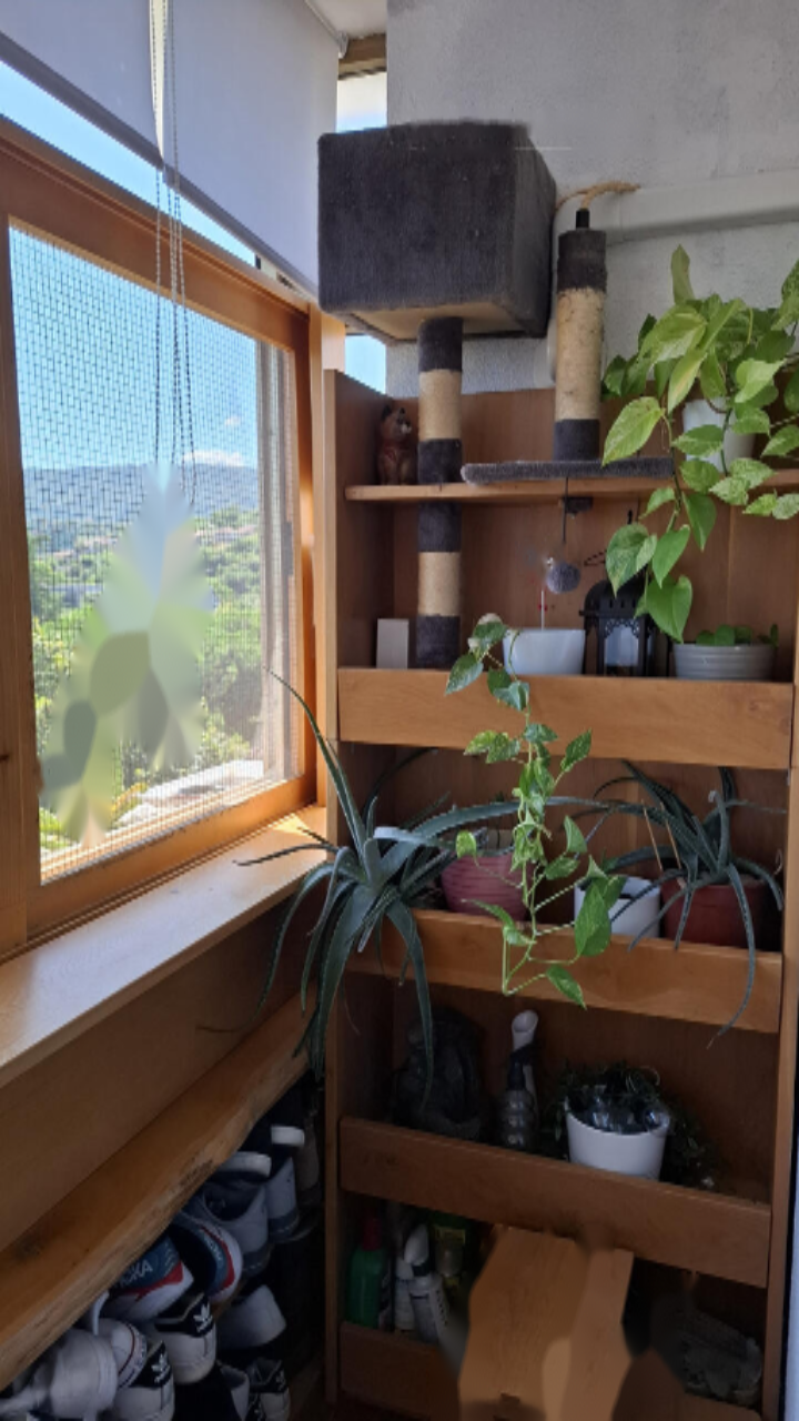 Wohnung in Koper, Slowenien, 39 m² - Foto 19