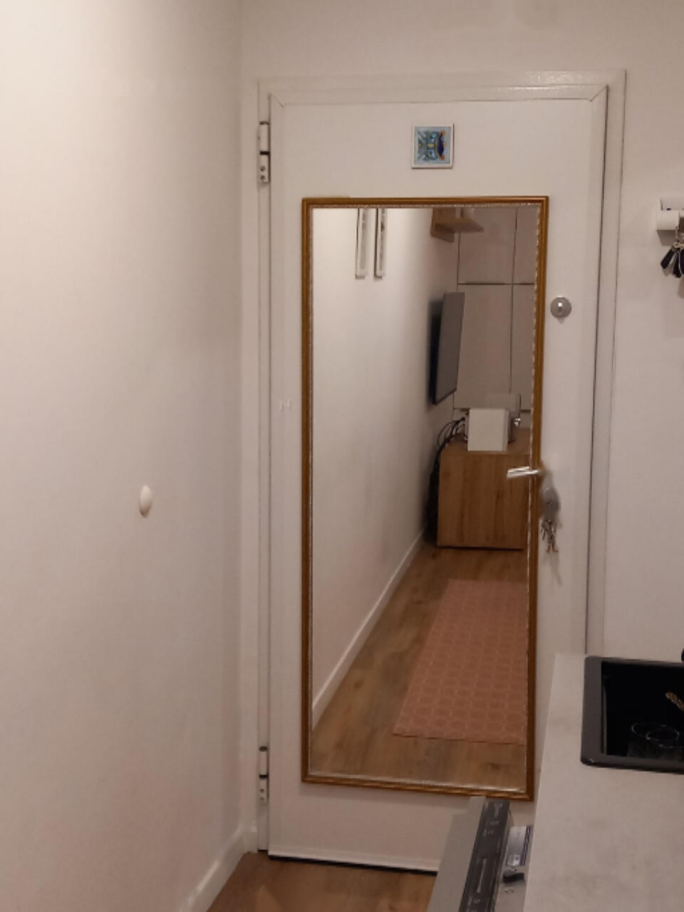 Flat in Ljubljana, Slovenia, 32 m² - picture 1