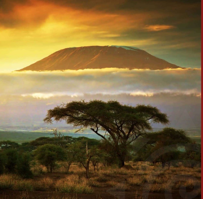 Apartamento Tatu City, Kenia, 38.1 m² - imagen 10