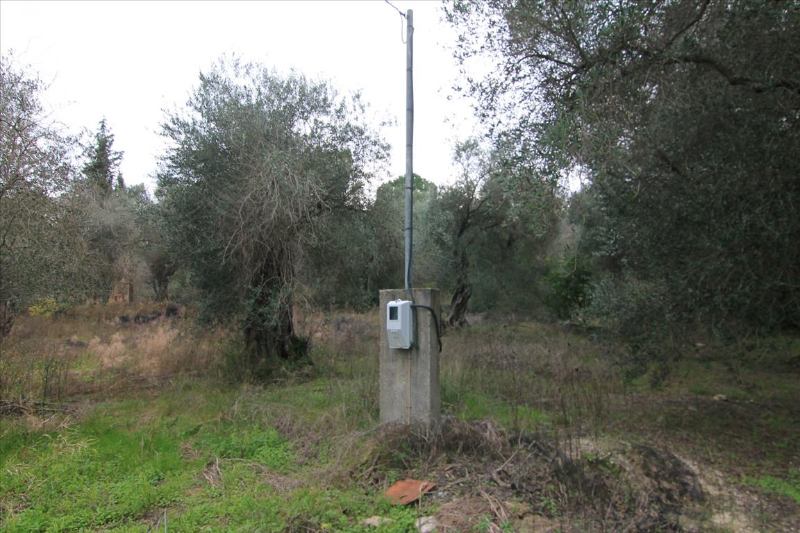 Land in Corfu, Greece, 6 400 m² - picture 3