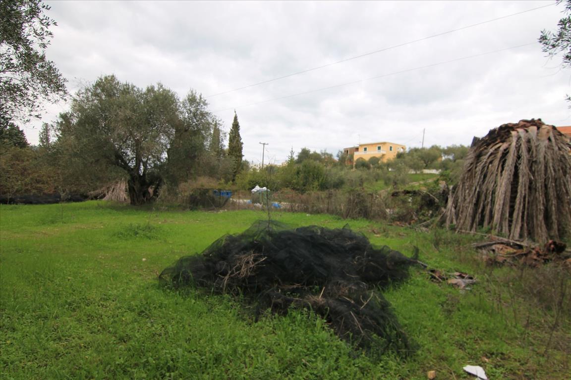 Land in Corfu, Greece, 6 400 m² - picture 7