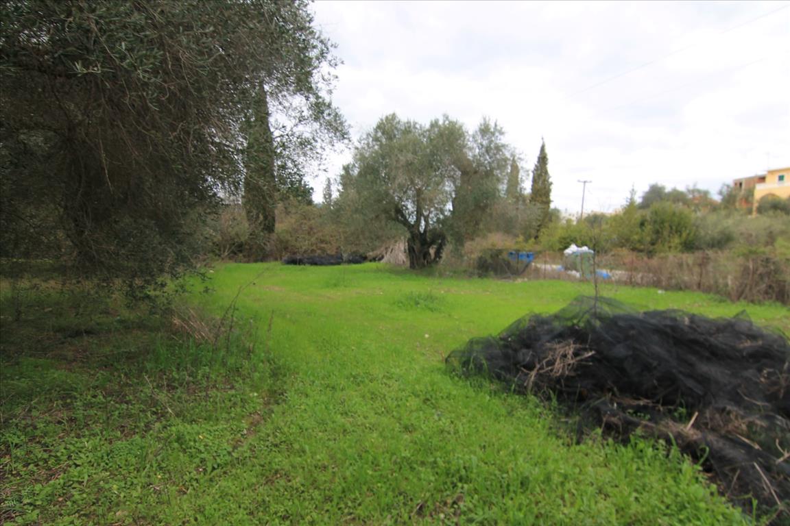 Land in Corfu, Greece, 6 400 m² - picture 8