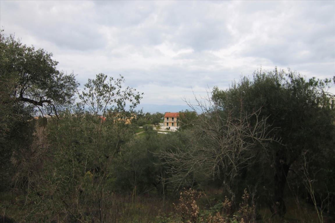 Land in Corfu, Greece, 6 400 m² - picture 13