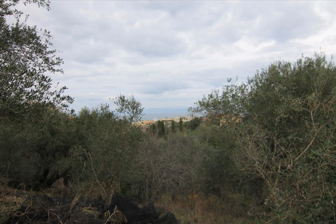 Land in Corfu, Greece, 6 400 m² - picture 14