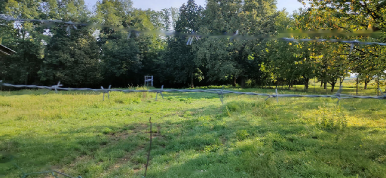 House in Sevnica, Slovenia, 233 m² - picture 2