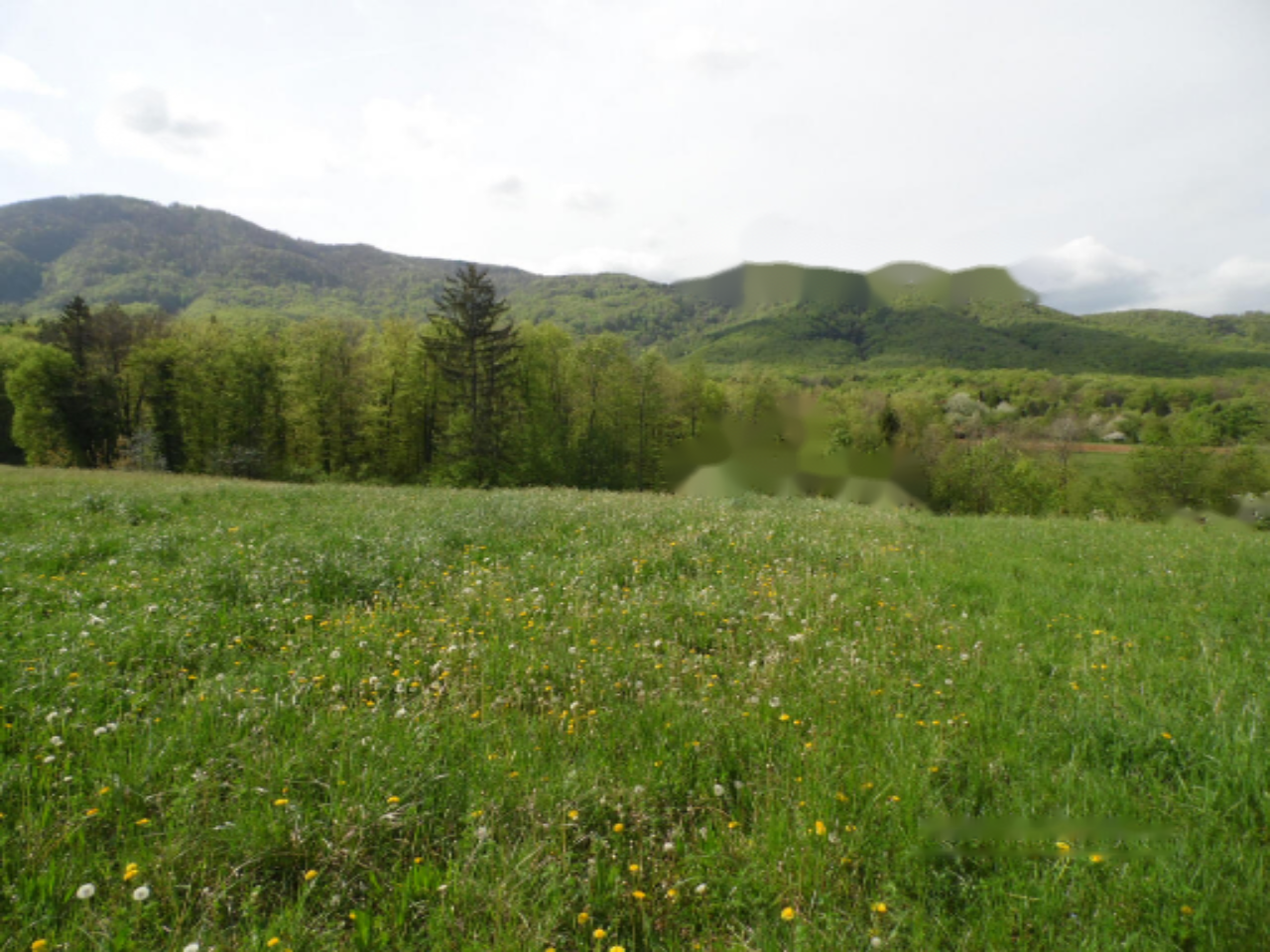 House in Divača, Slovenia, 55 m² - picture 2