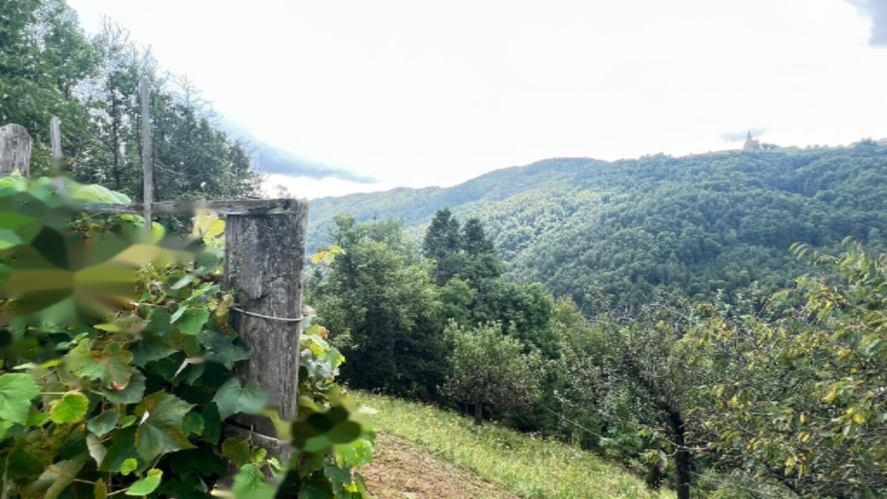 Casa a Trbovlje, Slovenia, 41 m² - foto 2