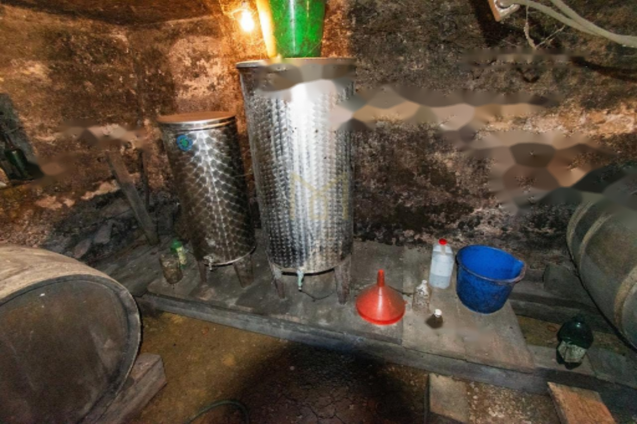 Maison à Destrnik, Slovénie, 58 m² - image 2