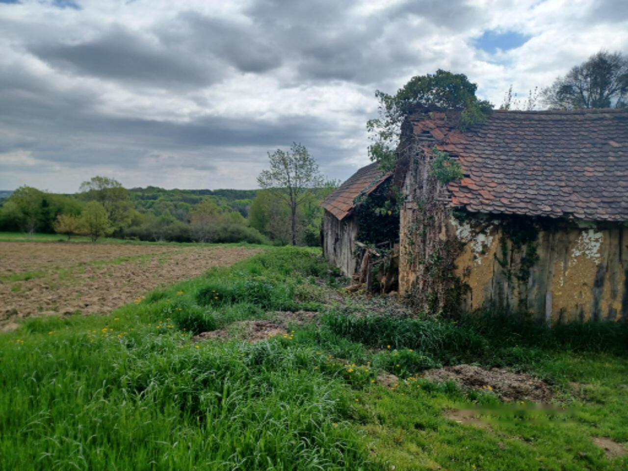 Haus in Ljutomer, Slowenien, 90 m² - Foto 4