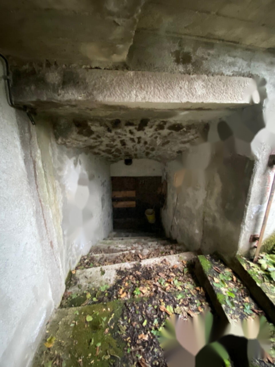 Haus in Vipava, Slowenien, 180 m² - Foto 5