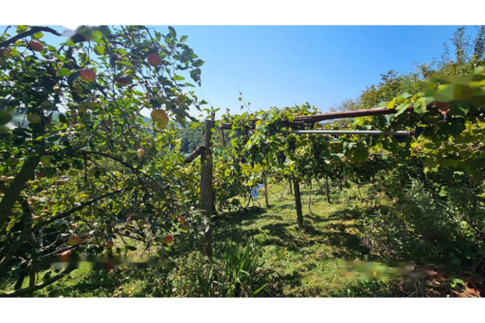 House in Kranj, Slovenia, 130 m² - picture 5