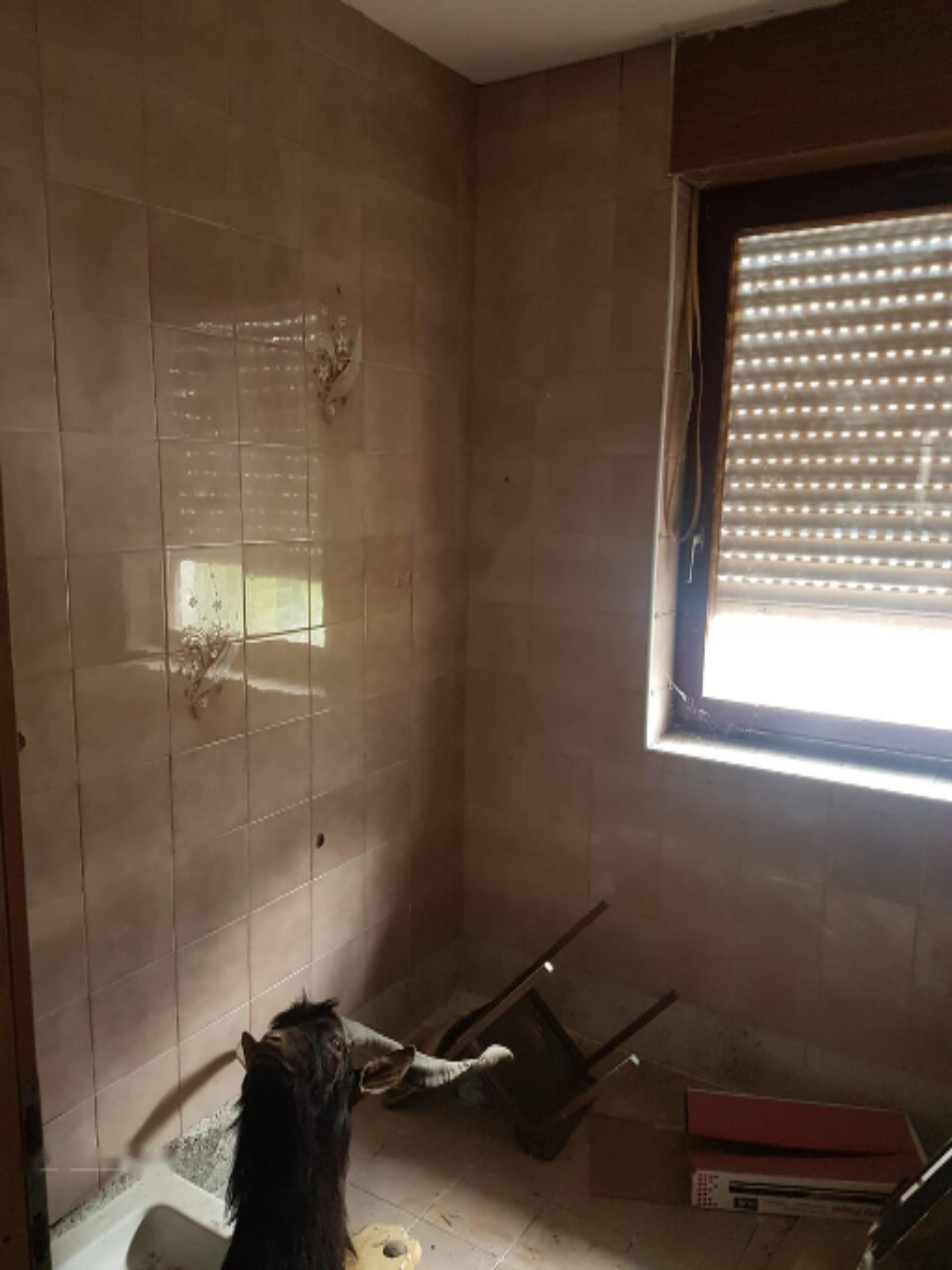 Casa a Tolmin, Slovenia, 160 m² - foto 6