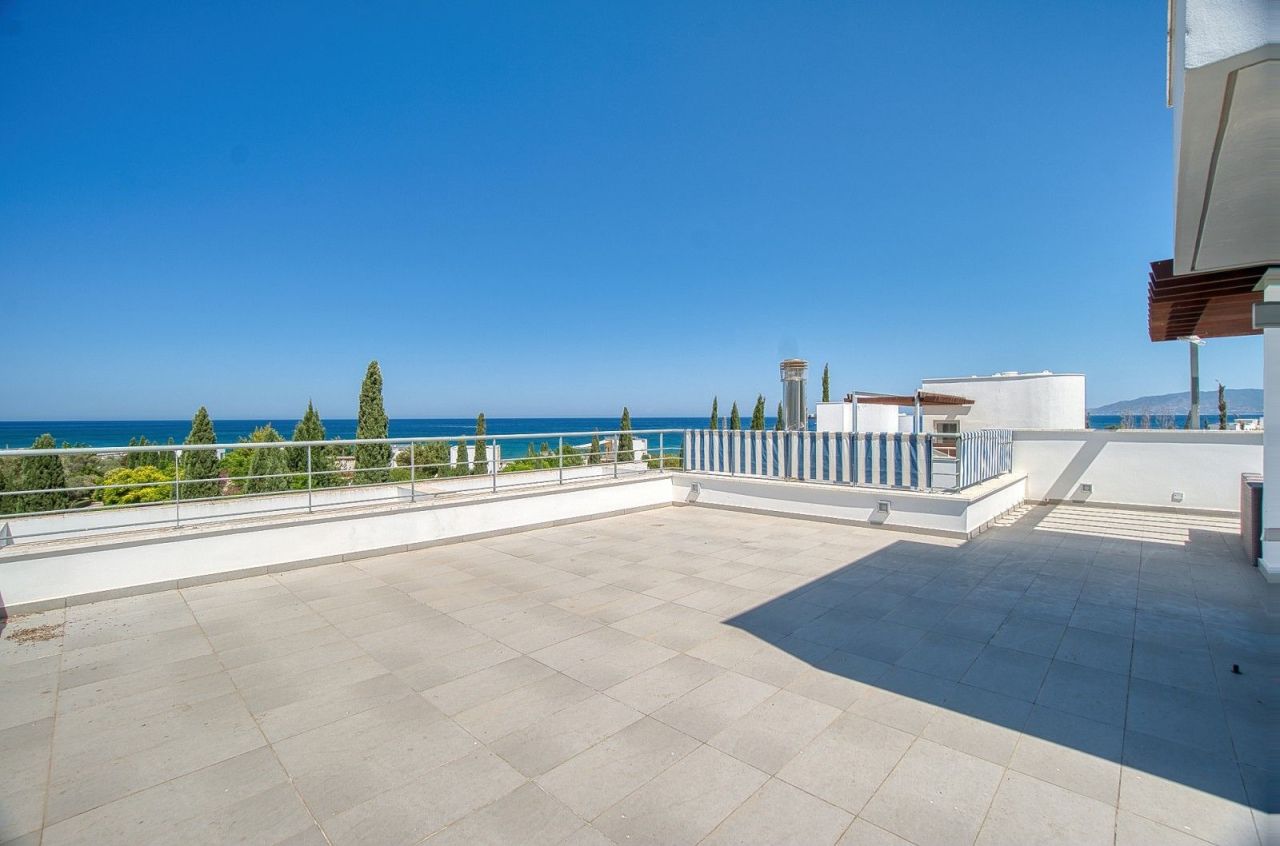 Villa a Paphos, Cipro, 288 m² - foto 15