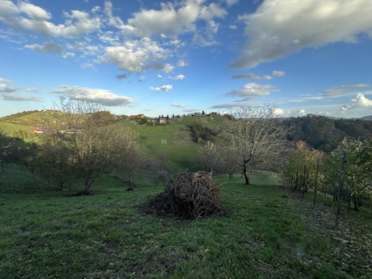 House in Ljutomer, Slovenia, 90 m² - picture 8