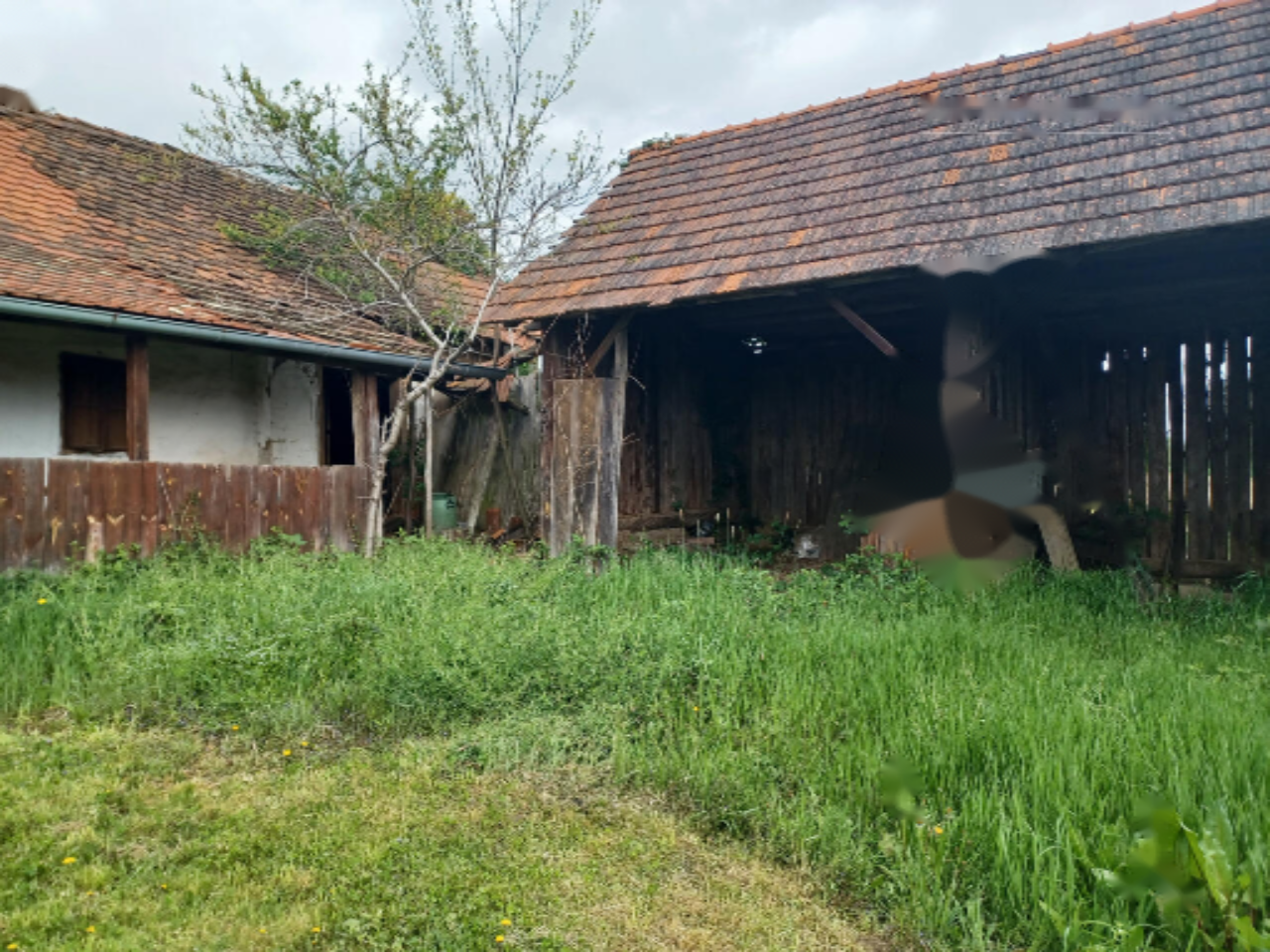 Haus in Ljutomer, Slowenien, 90 m² - Foto 10