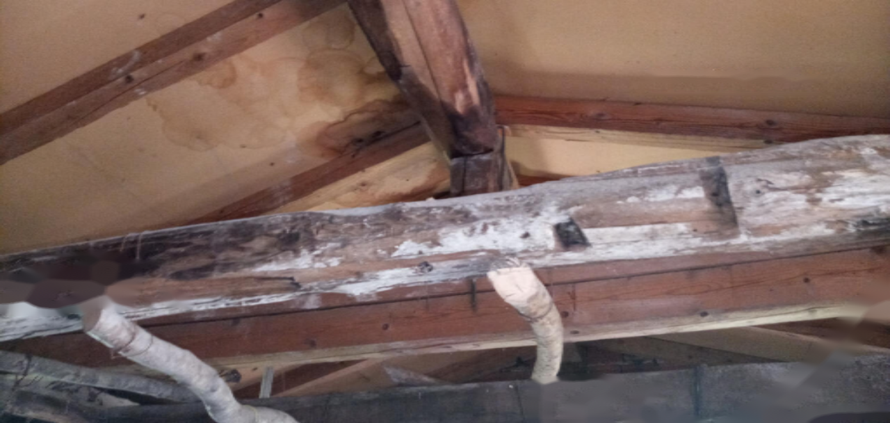 Maison à Piran, Slovénie, 140 m² - image 15