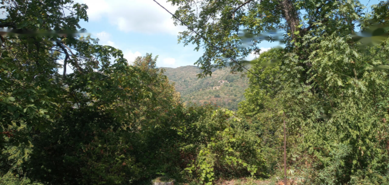 Maison à Piran, Slovénie, 140 m² - image 16