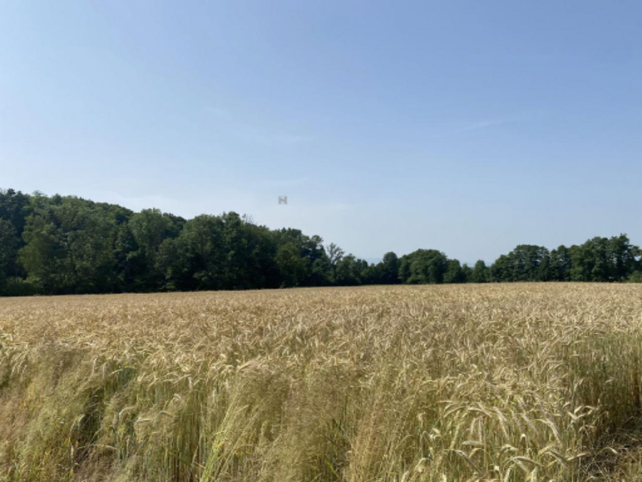 Maison à Ormož, Slovénie, 81 m² - image 16