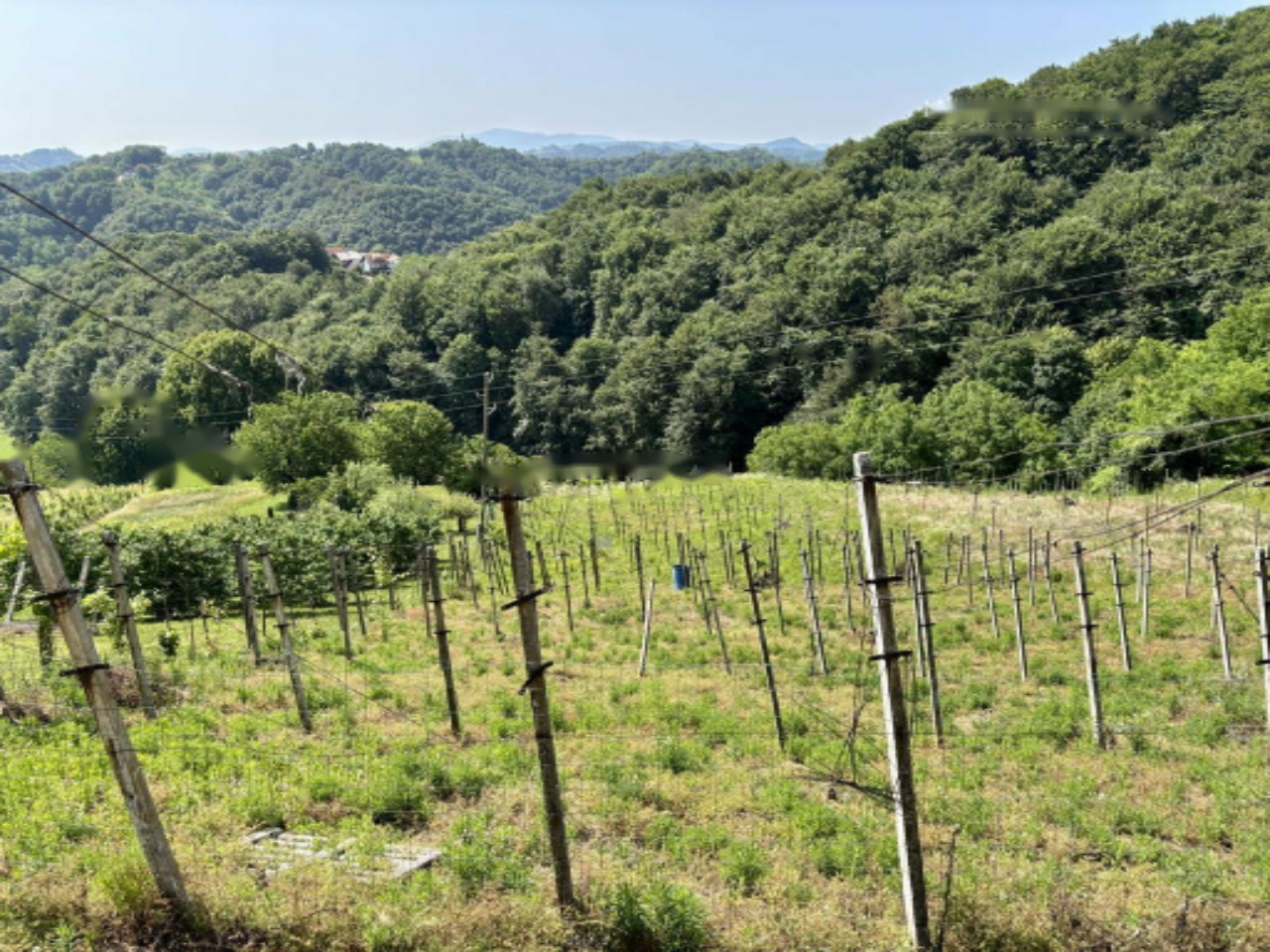 Casa a Litija, Slovenia, 82 m² - foto 17