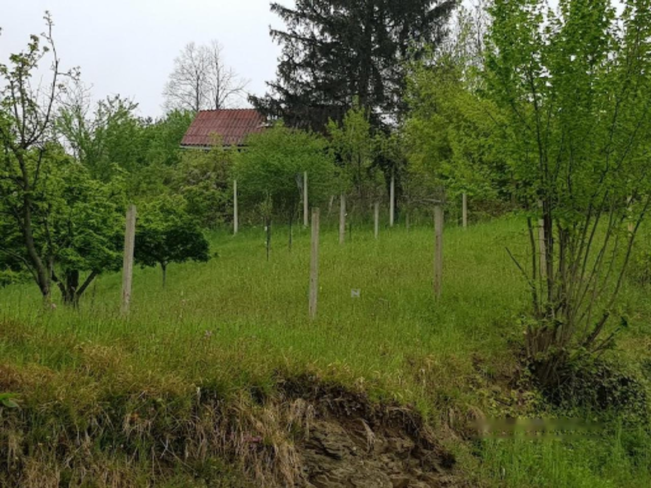 House in Spodnja Kungota, Slovenia, 47 m² - picture 5