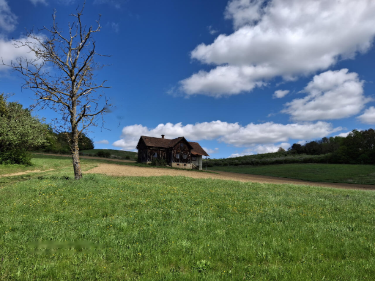 Ferme à Lendava, Slovénie, 69 810 m² - image 8