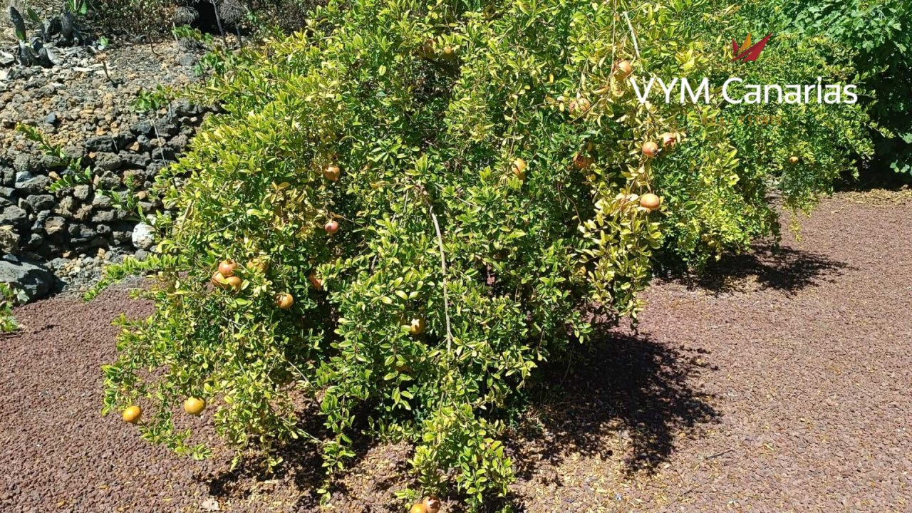 House on Tenerife, Spain, 115 m² - picture 5