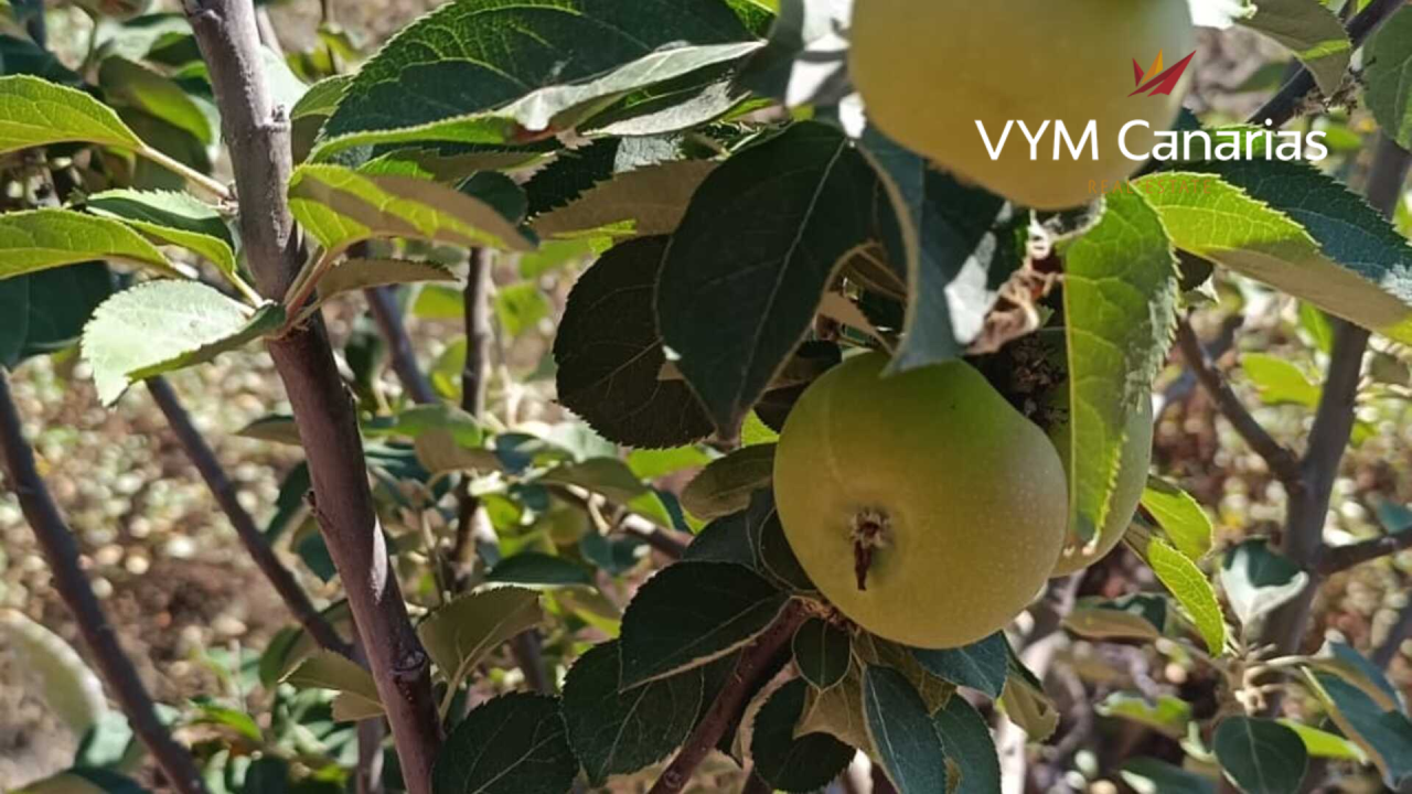 House on Tenerife, Spain, 115 m² - picture 6