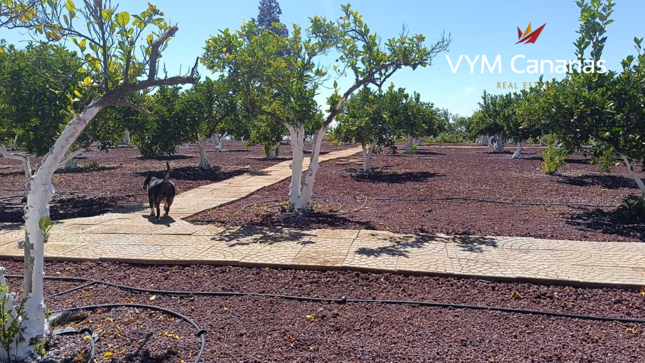 House on Tenerife, Spain, 115 m² - picture 11