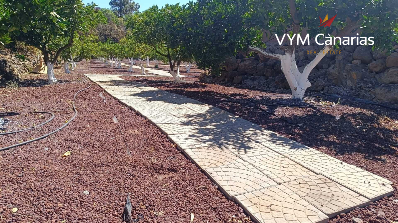 House on Tenerife, Spain, 115 m² - picture 12