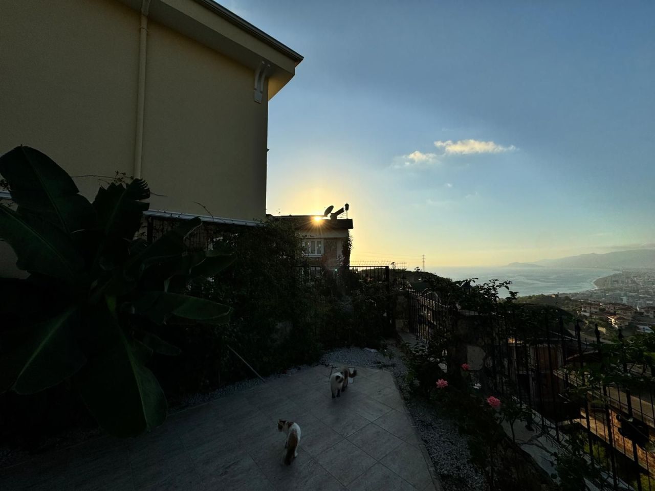 Appartamenti a Alanya, Turchia, 200 m² - foto 17