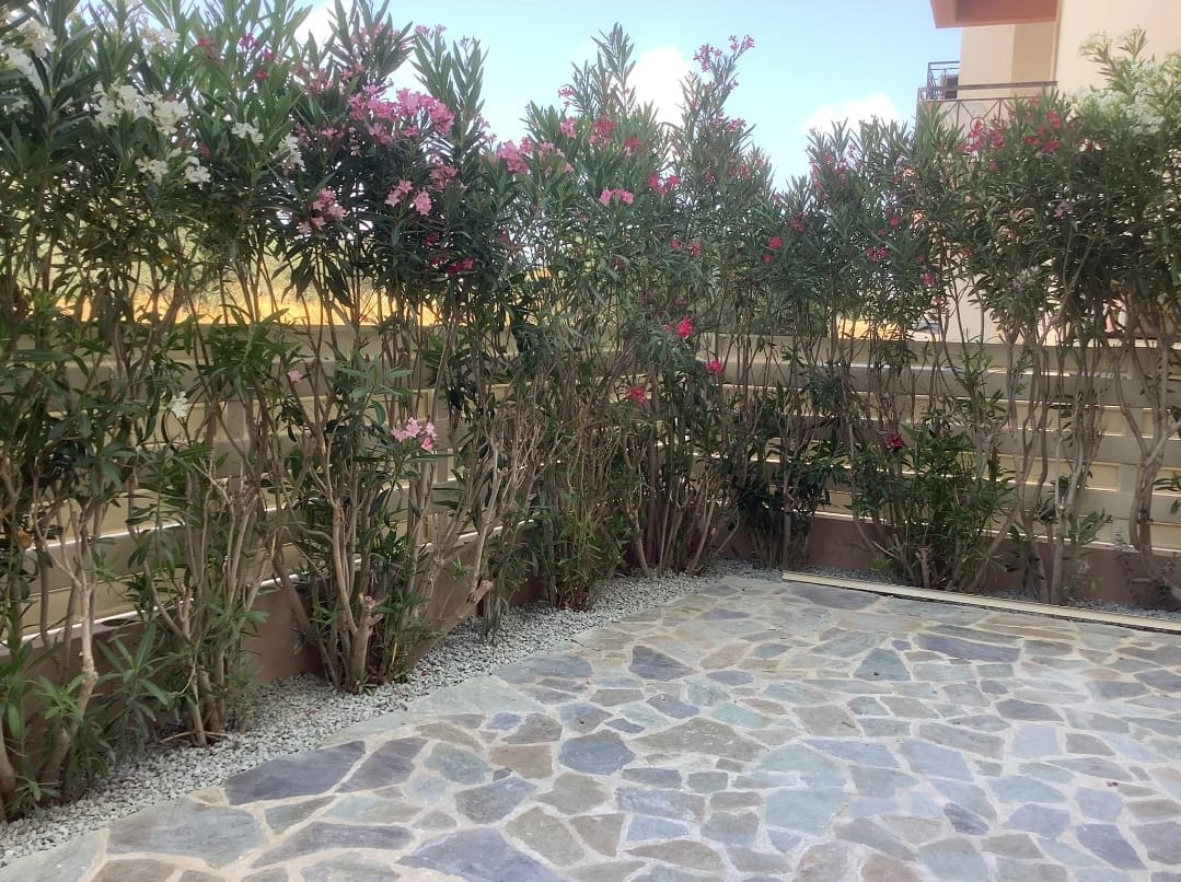 Appartamenti a Paphos, Cipro, 90 m² - foto 6