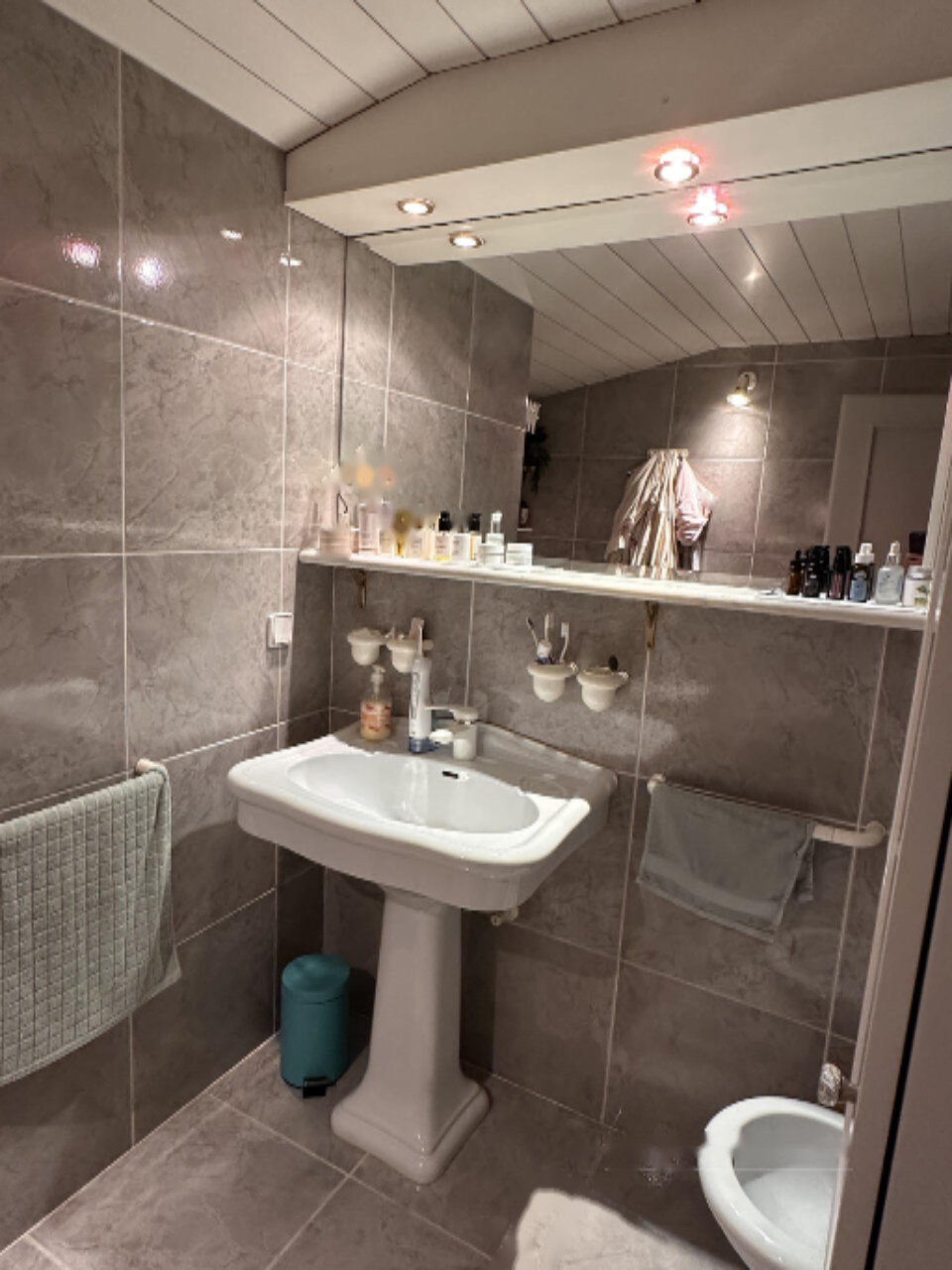 Maison à Ljubljana, Slovénie, 360 m² - image 2