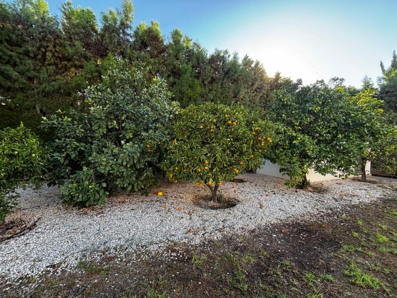 Villa a Paphos, Cipro, 200 m² - foto 4