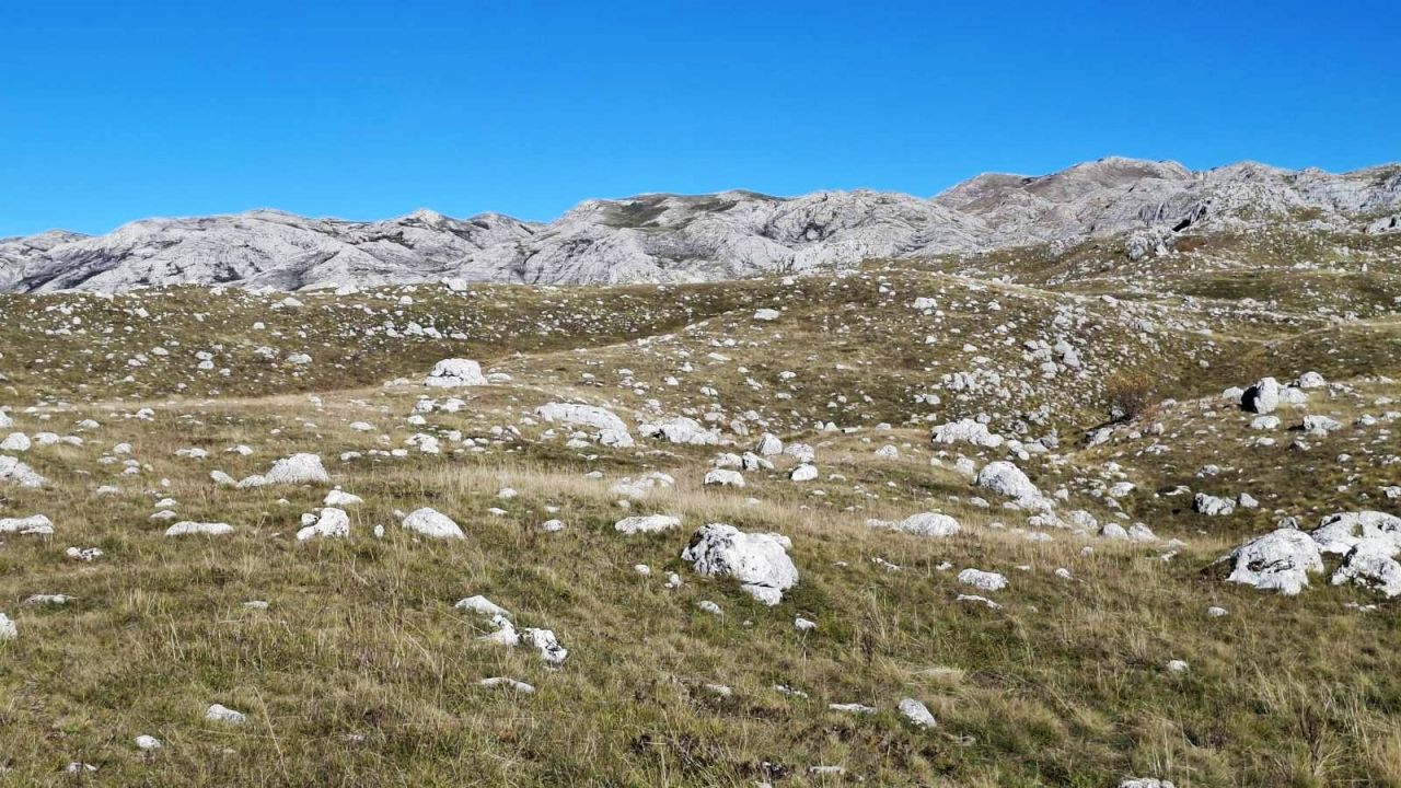 Terreno en Pluzine, Montenegro, 13 128 m² - imagen 12