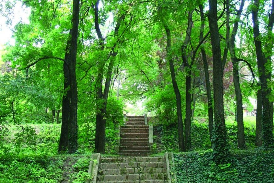 Haus in Subotica, Serbien, 59 m² - Foto 12